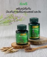 Astragalus (แอสทรากาลัส) สมุนไพรอึ่งคี้/ปักคี้ เสริมคอลลาเจน ดูแลผิวถึงโครโมโซม 1,500mg ขนาด 30 และ 60 แคปซูล