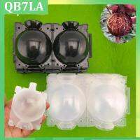 20pcs Plant Rooting Ball fruit tree Root grow box plastic case Box Grafting Rooter Growing High-pressure transparent black pot QB7LA Shop