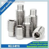 M2.5 M3 M4 M5 M6 M8 M10 M12M16 304 Stainless Steel Allen Hexagon Socket Convex End Grub Headless Bolt Dog Point Set Screw DIN915