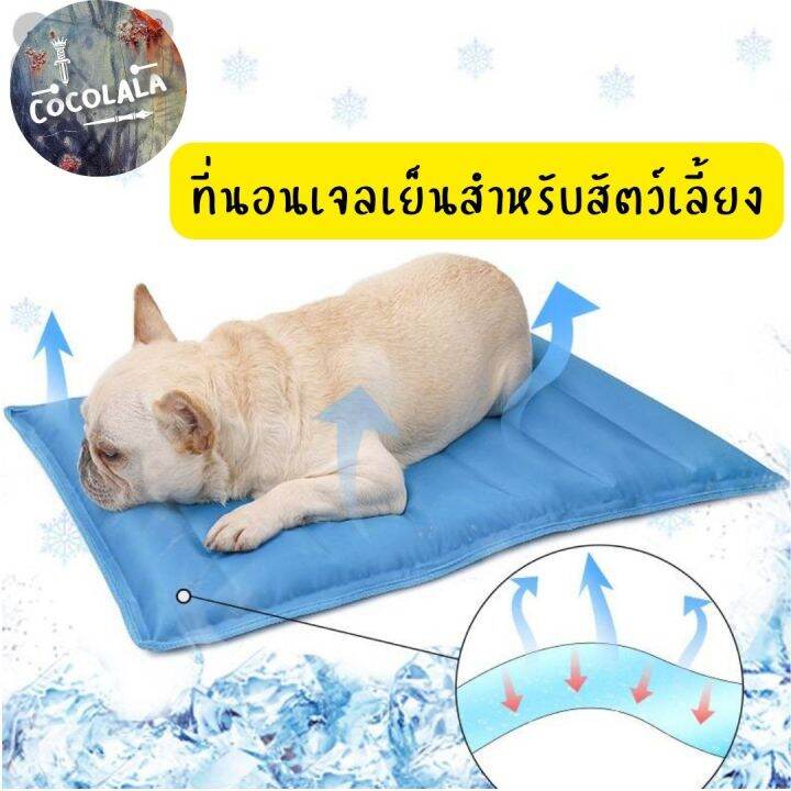 🎈New🎈 Pet Cool Mat ที่นอนเจลเย็นสำหรับสัตว์เลี้ยง แผ่นเจลเย็น แผ่นระบาย