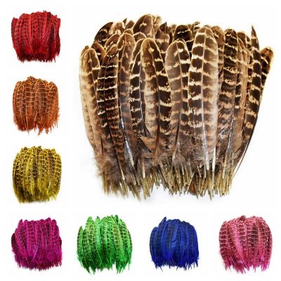 Dyed Female Pheasant Feathers for Jewelry Making 4-6 /10-15CM Carnaval Decoration Crafts