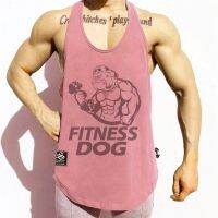 Muscle fitness dog vest sports training run lu iron quick-drying h loose big yards T-shirt breathable basketball