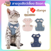 BJ Pet - สายจูง สายจูงสัตว์เลี้ยง สายจูงรัดอก สายจูงหมา สายจูงแมว สายจูงเสื้อ สำรหรับสัตว์เลี้ยง