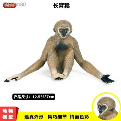 🎁 ของขวัญ Childrens cognitive solid simulation model of wildlife static gibbon ape monkey plastic toy furnishing articles