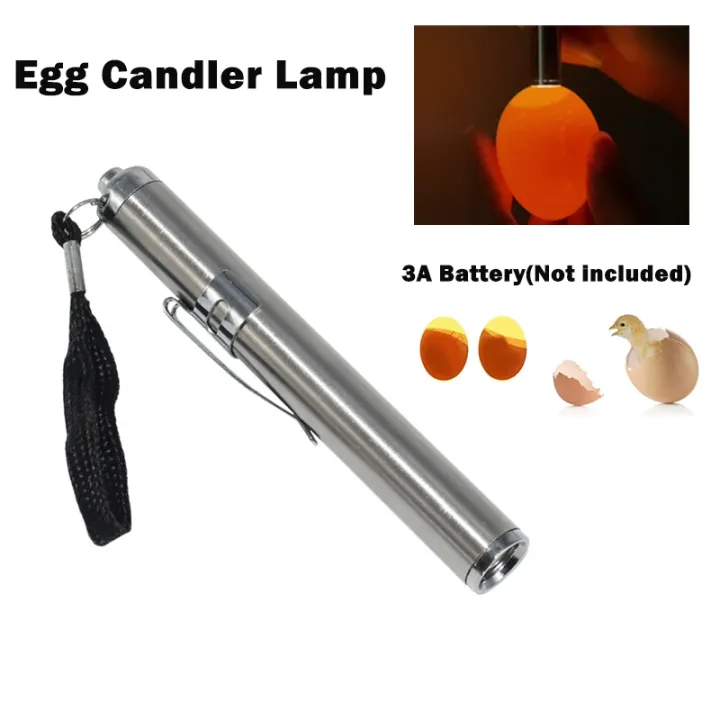 LED Cool Light Incuabtor Egg Candler Lamp Flashlight Egg Tester for