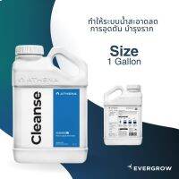 [ready stock]Athena Cleanse ทำให้ระบบน้ำสะอาดลดการอุดตัน ไร้คราบตะกรัน ช่วยให้รากแข็งแรง ขนาด1Gal./5 Gal.มีบริการเก็บเงินปลายทาง