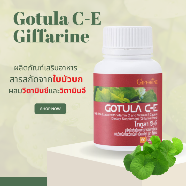 ใบบัวบก-กิฟฟารีน-gotula-c-e-giffarine-โกตูล่า-ซี-อี-ช่วยริดสีดวง-เบาหวาน-เส้นเลือดขอด