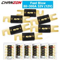 【YF】 5pcs ANL Auto Blade Fuse Electric 80A 100A 150A 200A 250A 300A 5V 12V 24V 32V Fast Blow Blo Bolt-on Cutoff Fusee