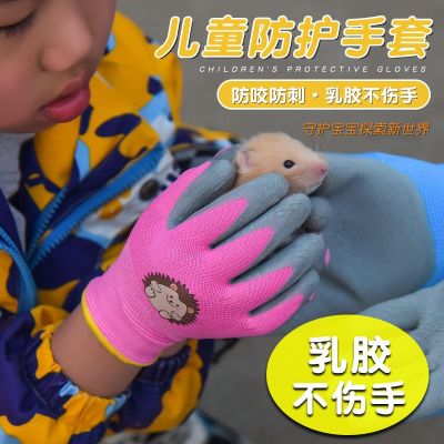 High-end Original Childrens pet anti-bite gloves hamster sugar glider anti-bite gloves rabbits and birds anti-scratch protection products