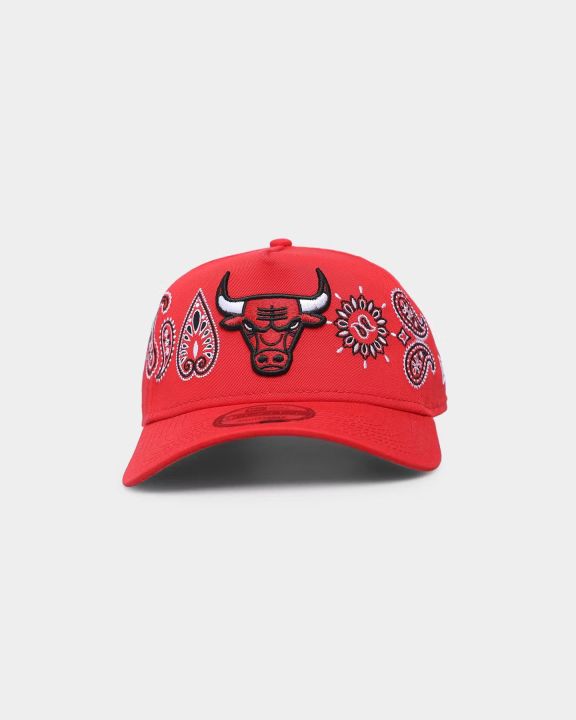 หมวก-new-era-chicago-bulls-team-paisley-9forty-a-frame-snapback