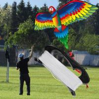 【cw】3D Kite Realistic Toy Kids Big Parrot Children Flying Game Outdoor Sport Playing Garden Cloth Fun Toys Gift with 100m Line 【hot】