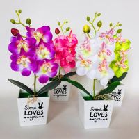 【cw】 1PC Artificial Orchid Bonsai Fake With Pot Ornaments