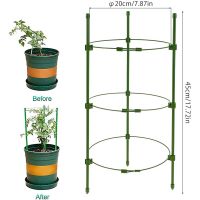 สวนปีนเขาพืชสนับสนุนกรงสวน Trellis ดอกไม้ยืนแหวนมะเขือเทศสนับสนุน Stockhome และ Gardenplant สนับสนุนและดูแล