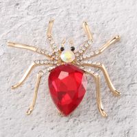 Fashion Alloy Spider Crystal Brooch for Womens Dresses or Womens Clothing