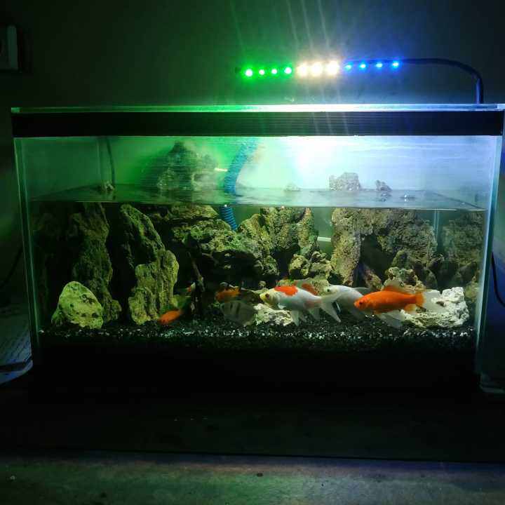 Lampu Aquarium Aquascape 20cm 11 Mata Led Smd Kombinasi Biru Putih