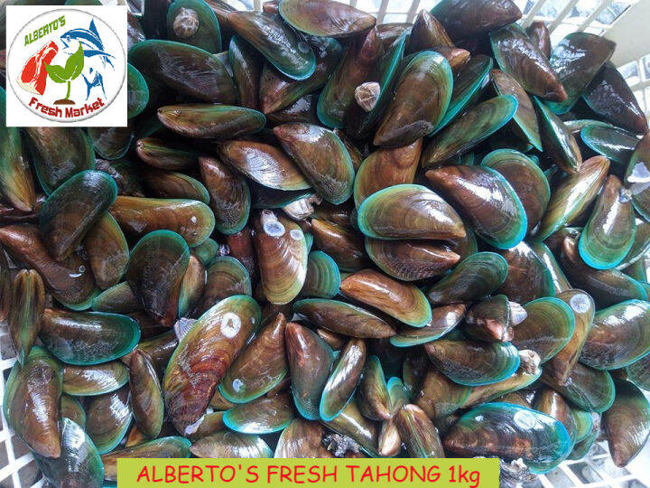 FRESH TAHONG 1kg | Lazada PH