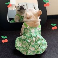 Flower Bow Slip Dress Dog Clothes Kawaii Green Pumpkin Skirt Fat Dogs Clothing Cat Korean Fashion Summer Thin Girl Pet Products Dresses