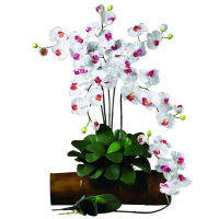 Phalaenopsis Stem ดอกไม้ประดิษฐ์ (ชุด6ชิ้น) สีขาว