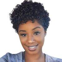 Short Afro Kinky Curly Wigs For Women Human Hair Malaysian Remy Hair 180% Density Human Hair Wigs Glueless Machine Made Wig Hand Tool Parts Accessorie