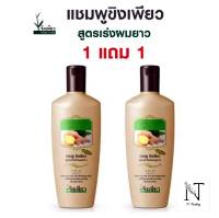 แชมพู ขิงเพียว(ซื้อ 1 แถม 1)สูตรสำหรับผมยาว/KEING PURE HERBAL SHAMPOO FOR LONG HAIR ปริมาณสุทธิ 300 มล.