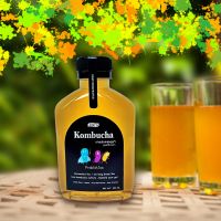 ชาหมักคอมบูชา สูตร คีโต / 250ml. KOMBUCHA เครื่องดื่มเพื่อสุขภาพ พร้อมดื่ม keto