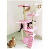 TCN ของเล่นแมว คอนโดแมว catcondo ที่นอนสำหรับแมว สีชมพู คอนโดแมว  ของเล่นเหมียว