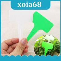 xoia68 Shop 50pcs 10cm Plastic PVC Plant T Tags Labels Flower Pots  Waterproof Markers Herbs Garden Tools Supplies