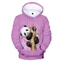 Sudaderas con capucha de Panda para hombre y mujer, jerséis con capucha para niños y niñas, Tops con estampado 3D de Hip Hop, Otoño e Invierno