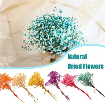 Mini Mix Natural Dried Flowers