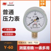 Hongqi Instrument Y-60 Pressure Gauge Vacuum Gauge Air Compressor Gas Storage Tank Special Gauge Floor Heating Fire Fighting Air Pressure Water Pressure Gauge