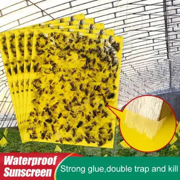 20Pcs Fruit Fly Traps for Indoors & Fly Traps Outdoor Gnat Traps for House