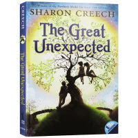 The great unexpected English childrens literature novel