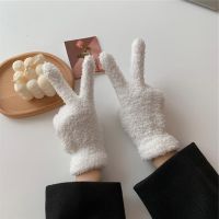 Teenagers Winter Full finger Gloves Solid Color Mitten Velvet Touchscreen Gloves