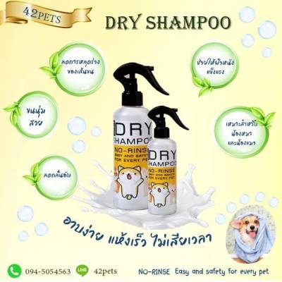 42pet Dry shampoo สเปรย์อาบน้ำแห้ง ใช้ได้ทั้ง หมาและแมว อาบง่าย แห้งเร็ว ไม่เสียเวลา 250ML 100ml
