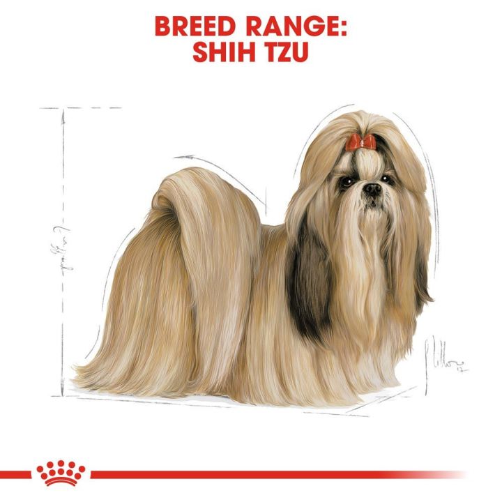 ส่งฟรี-royal-canin-shih-tzu-adult-1-5kg-อาหารเม็ดสุนัขโต-พันธุ์ชิห์สุ-อายุ-10-เดือนขึ้นไป