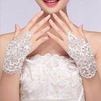 ✣▤ Ivory 5.9 Inches Long Lace and Rhinestone Bridal Gloves for Women. Fashion Wedding Accessories Short Mitten for Girls