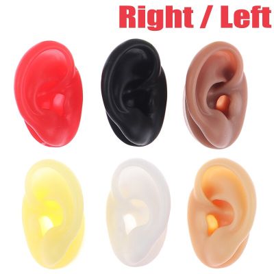 Silicone Ear Model Practice Piercing Tools Ear Stud Display Tool Model Body Jewelry Medical Teaching Display Props