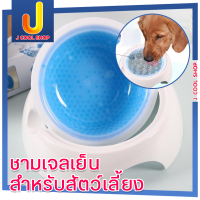 Pet Cooling Bowl ถ้วยน้ำเจลเย็น ชามน้ำหมา  ชามเจลเย็น สำหรับสัตว์เลี้ยง เก็บน้ำให้สดและเย็นนาน 4-8 ชม