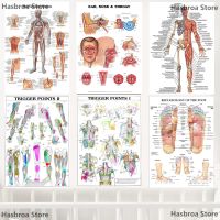 ภาพศิลปะบนผนัง Human Body Science School Education TRIGGER POINTS CHART INFORMATIONAL ANATOMY ภาพวาดผ้าใบโปสเตอร์ Decor