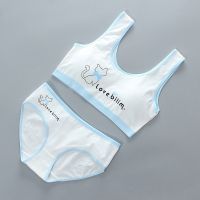 【CC】 Pantie and girls underwear vest development teens Cotton Layer Puberty Little Girls 1 set