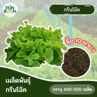 [10 แถม 1] ปันบุญออร์แกนิค เมล็ดพันธ์ุ ผักสลัด เมล็ดพันธ์ุ กรีนโอ๊ค Green Oak 1 ซอง บรรจุ 400-500 เมล็ด งอกง่าย โตไว