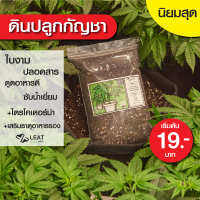 ดินปลูกสูตรทำใบ&amp;ช่อดอก สมุนไพร 420 potting mix ออแกนิค มีใบรับรองตรวจสารปนเปื้อน แนะนำฟรี 3 ขนาด