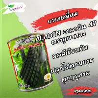 บวบเหลี่ยมลูกผสม ALADIN อะลาดิน 47 Loofah ขนาด 100 กรัม