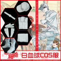 เซลล์ทำงาน เม็ดเลือดขาว COSplay เสื้อผ้า 1146 ไป๋เกอ cosplay เสื้อผ้า ชุดเครื่องแบบเม็ดเลือดขาว