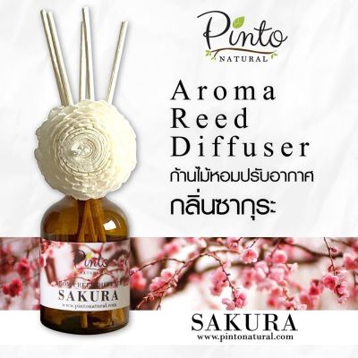 Pinto Natural Aromatic Reed Diffuser ก้านไม้หอมปรับอากาศ กลิ่นซากุระ Sakura ขนาด 50ml. และ 100ml.