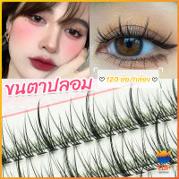 Top ขนตาปลอม ขนตาปลอมแต่งหน้ามืออาชีพ 120 ช่อ ช่อคนตาเทรนสาวเวียดนาม  Little devil false eyelashes