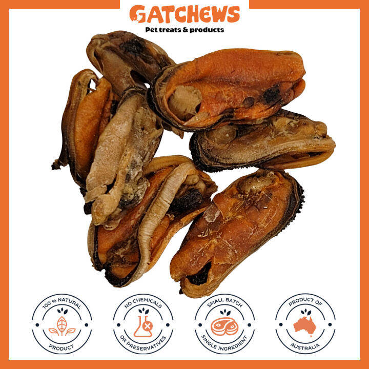 Gatchews Green Lipped Mussels Dog Chews Dog Treat Dogs Single
