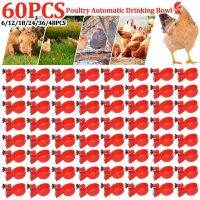 【CW】◄□  6-60Pcs Drinking Cup Drinker Feeder Plastic Poultry Cups Installation