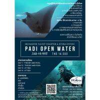 BBMarine คอร์สเรียนดำน้ำ PADI Open Water  PADI Course