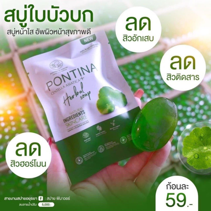 สบู่ใบบัวบก-สบู่พรทิน่า-พรทิน่า-pontina